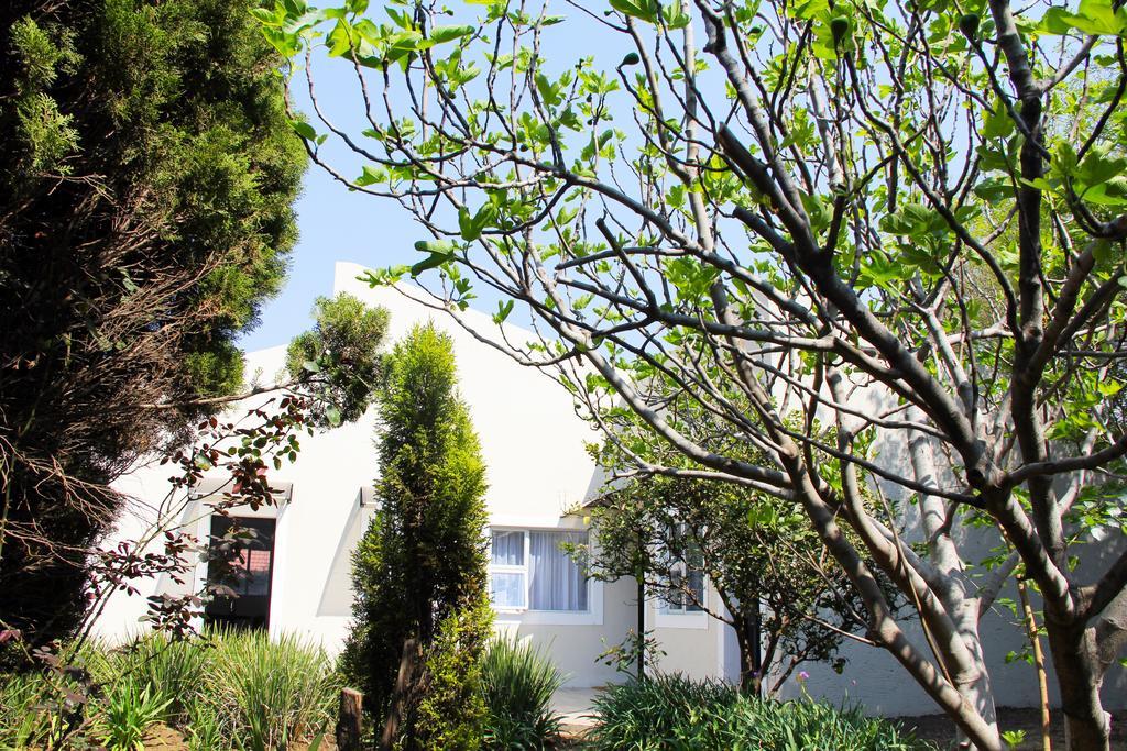 La Coscello Guest House Edenvale Exteriör bild